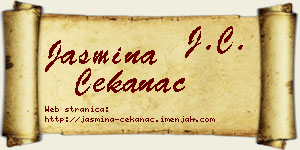 Jasmina Čekanac vizit kartica
